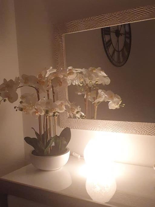 Hébergement de vacances Orchidea Trieste